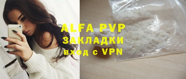 мет Алексин