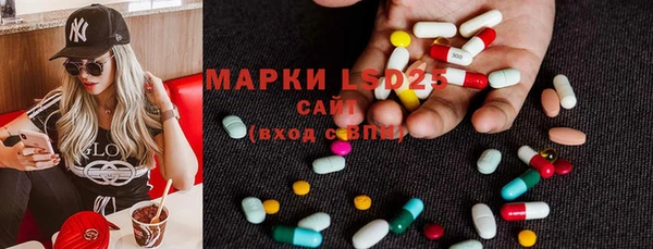 мет Алексин