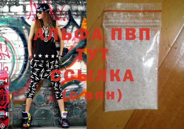ECSTASY Алзамай