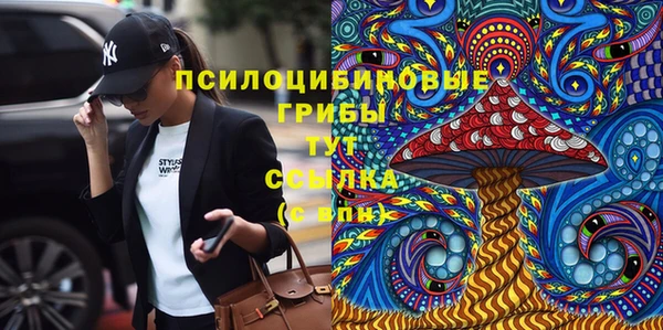 ECSTASY Алзамай