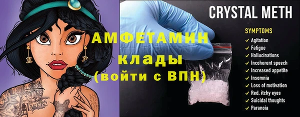 ECSTASY Алзамай