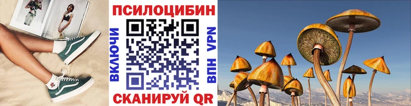Галлюциногенные грибы GOLDEN TEACHER  нарко площадка клад  Октябрьск  цены  